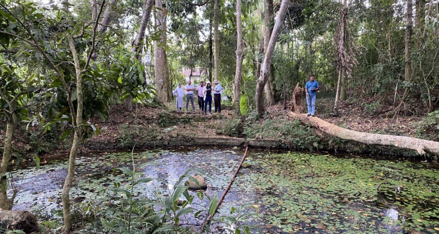 field-visit-to-sarnia-estate-in-badulla-sri-lanka-inclusive-urban